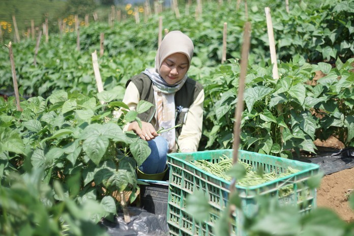 Imas Wartisih Imas Wartisih