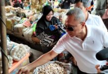 Kipli kaget harga Bawang mahal