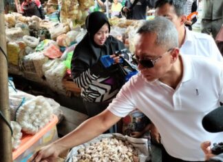 Kipli kaget harga Bawang mahal