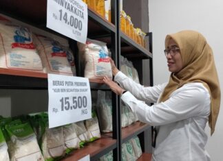 Deputi Kepala Kantor Perwakilan BI Jateng Ndari Surjaningsih