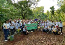 Belantara Foundation