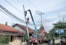 Petugas UP3 Pekalongan