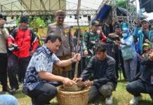 Festival Mangga Penggarit: Dari Panen Melimpah Menuju Sejahtera
