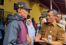 280 Ekor Hewan Ternak Mati dan Lahan Pertanian Serta Irigasi Rusak Karena Longsor di Situkung