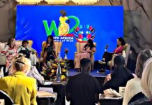 W20 Summit Afrika Selatan: Indonesia Tampilkan Sisternet sebagai Praktik Terbaik Pemberdayaan Perempuan