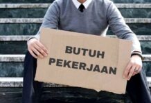 Tingkat Pengangguran Terbuka Agustus 2025 Turun, Bekurang 4.000 Orang dari Tahun Lalu