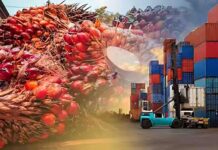 Ekspor Tangguh, Topang Pertumbuhan Ekonomi Indonesia Kuartal III