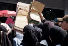 Penyerapan Tenaga Kerja Agustus 2025 Capai 146,54 Juta Orang Seiring Pertumbuhan Ekonomi