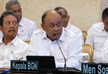 Dapur MBG Telah Ciptakan Lapangan Kerja Langsung untuk 741 Ribu Orang