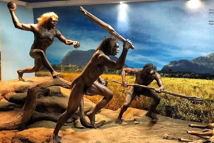 Museum Manusia Purba Sangiran