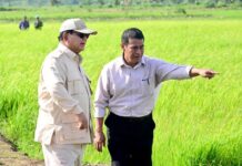 Refleksi Bidang Pertanian dan Pangan selama tahun 2025 Pemerintahan Prabowo Subianto: Apa Catatan Penting Bidang Pertanian dan Pangan?