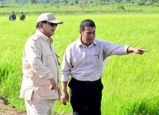 Refleksi Bidang Pertanian dan Pangan selama tahun 2025 Pemerintahan Prabowo Subianto: Apa Catatan Penting Bidang Pertanian dan Pangan?