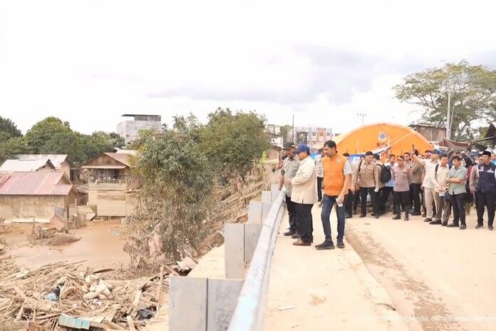 Prabowo Cek Tumpukan Kayu