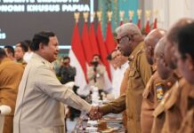 Prabowo Dorong Swasembada Energi di Papua: Tenaga Surya dan Air Bisa untuk Daerah Terpencil