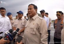Tegas! Prabowo Siap Tindak Pembalakan Liar