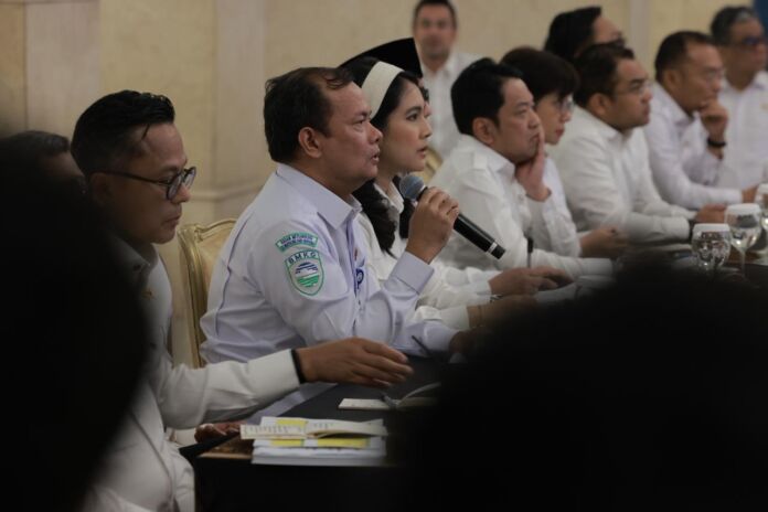 Teuku Faisal Fathani_2