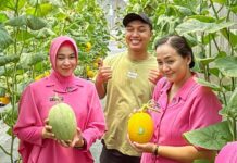 Achmad Lafillian Rohmadi, Petani Melon Milenial dari Jombang