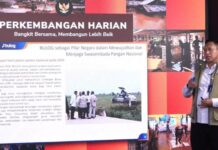 Bulog Targetkan Beras Satu Harga di Seluruh Indonesia Jika Sukses Serap 4 Juta Ton Beras