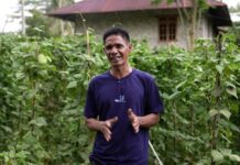 Tanpa MBG, Petani: Mungkin Sayur Kami Hanya Jadi Pakan Ternak